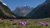 yumgthang Valley