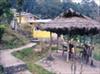 The Mustard Seed Farmstay