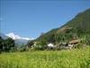 Dzongu
