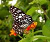 Fambonglho Wildlife Sanctuary